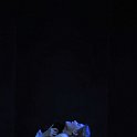 lucio-42291