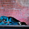 mahagonny-4470