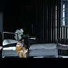 ano-wagner-12219