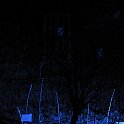 zurencausse-46419
