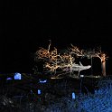 zurencausse-46484