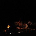 zurencausse-46554