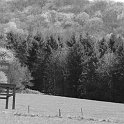 zurencausse-47040