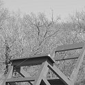 zurencausse-47085