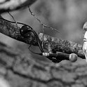 Zurencausse-70487