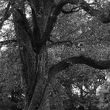 zur_saulx-27899