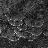 zur_saulx-27901