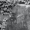 zurvilleurbanne-19075